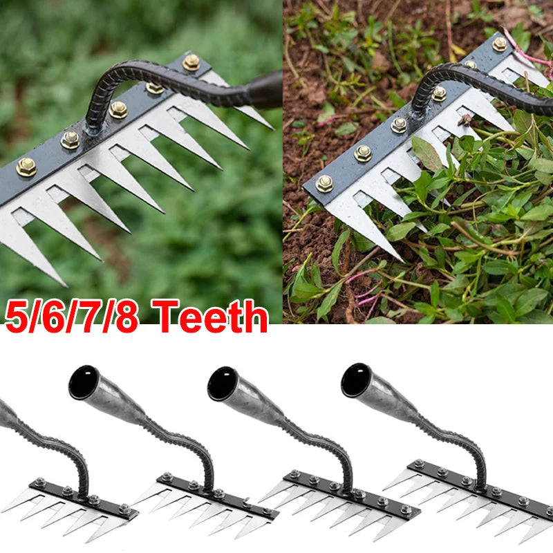 Iron Gardening Hoe Weeding Rake – Carbon Steel Soil Loosening & Weeding Tool (5/6/7/8 Teeth)
