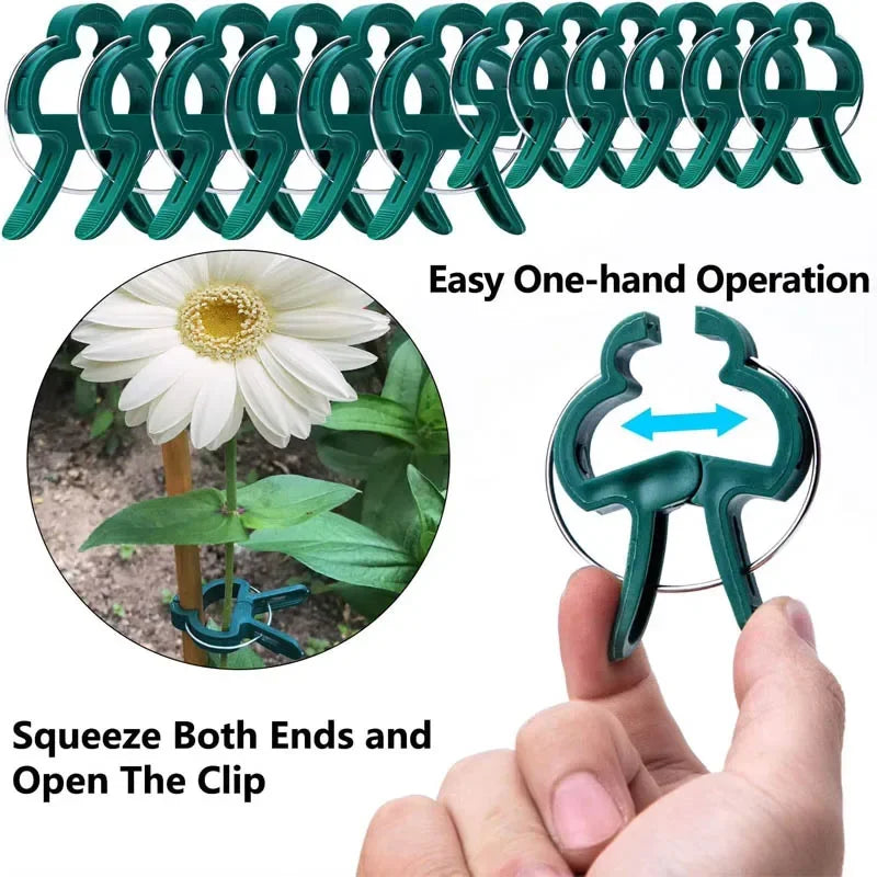 Reusable Plant Fixed Clips – Greenhouse Bracket for Stems, Vines, Tomatoes & Flowers