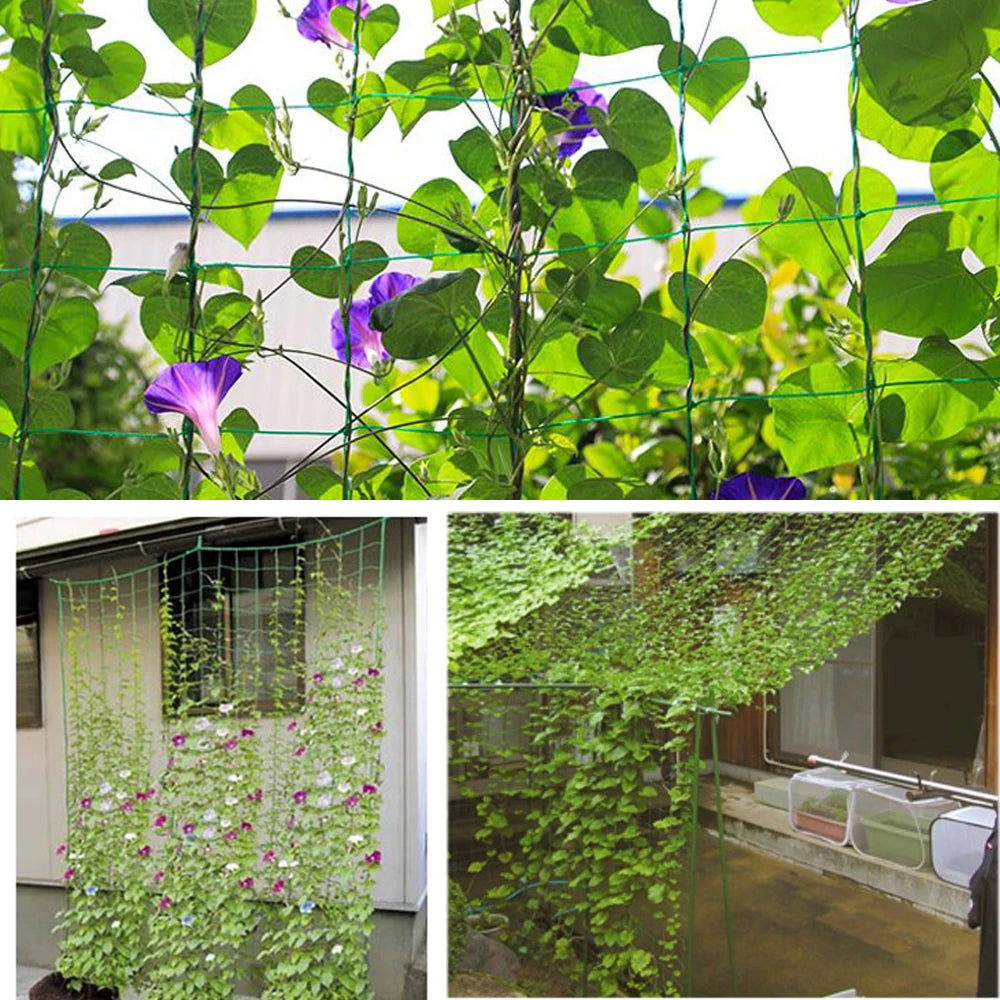 Garden Climbing Trellis Netting – Heavy-Duty Polyester Plant Support Net for Vegetables, Vines & Flowers