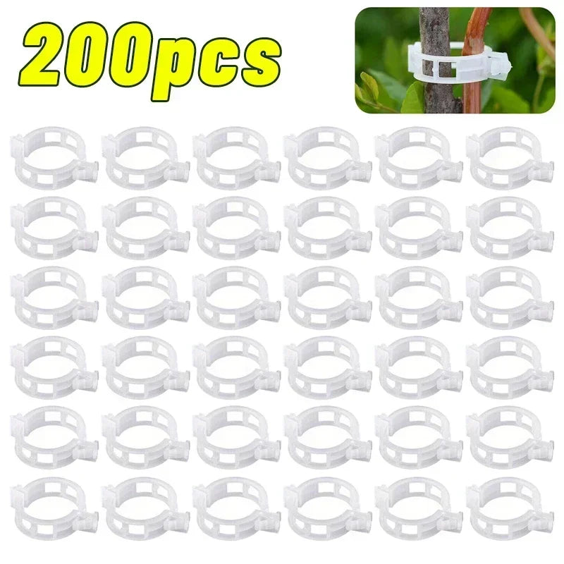 Reusable PP Plant Support Clips – Transparent Vine Fixing Buckle for Tomatoes, Grapes & Vegetables (50–500 pcs)