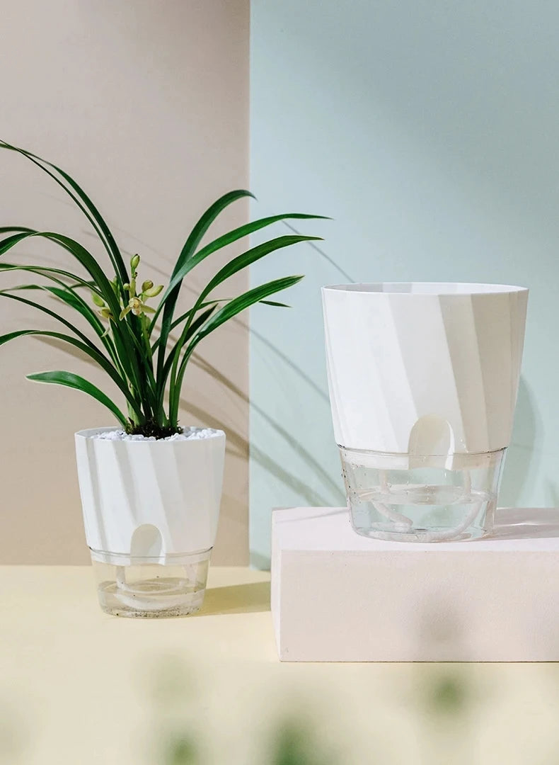 Clear Self-Watering Planter – Automatic Lazy Flower Pot, Fully Transparent (12/15/20 cm)