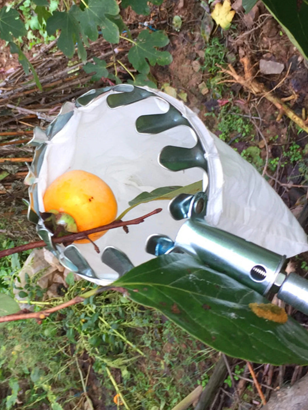 Telescopic Fruit Picker Basket – Stainless Steel Catcher for Apples, Oranges & High-Altitude Picking