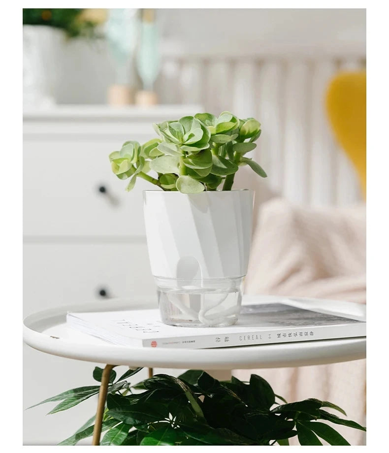 Clear Self-Watering Planter – Automatic Lazy Flower Pot, Fully Transparent (12/15/20 cm)