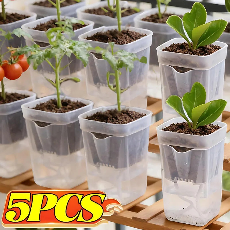 Transparent Self-Watering Plant Pot – PP Seedling & Propagation Container with Drainage (1/2/5 Pack)