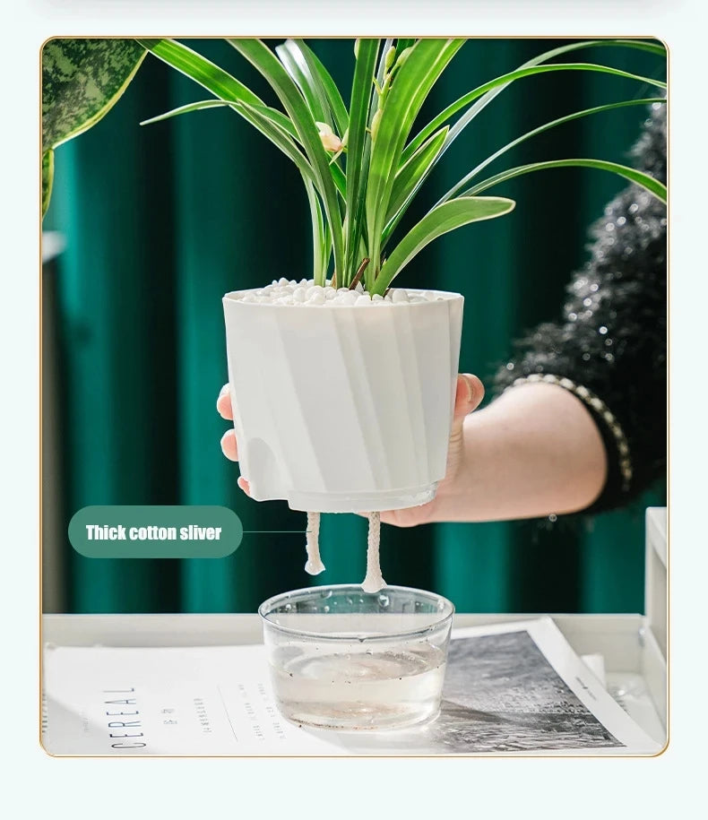 Clear Self-Watering Planter – Automatic Lazy Flower Pot, Fully Transparent (12/15/20 cm)