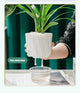 Self-Watering Pots