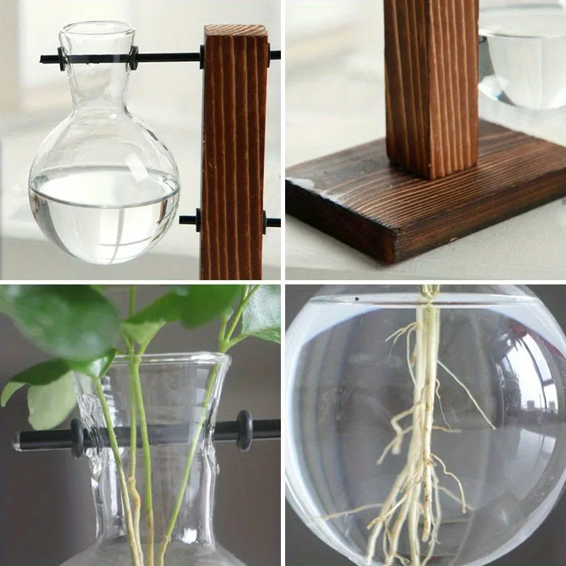 Vintage Bulb Glass Hydroponic Vase with Wooden Stand — Desktop Plant Terrarium