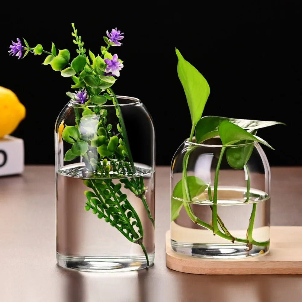 Simple Modern Transparent Glass Flower Vase — Hydroponic & Decorative