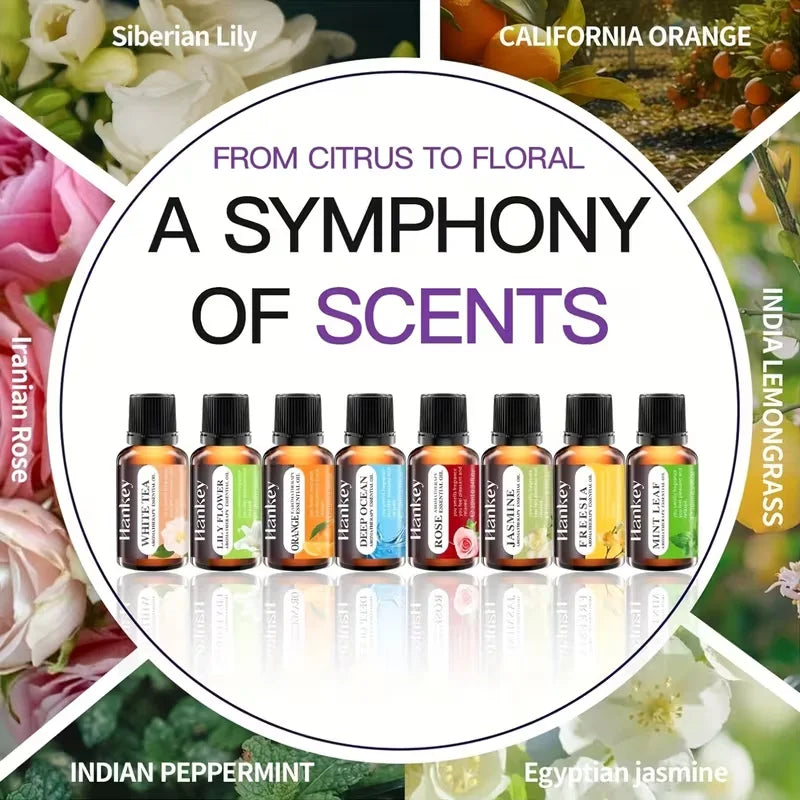 12-Scent Water-Soluble Aromatherapy Essential Oil Set — Humidifier & Reed Diffuser Refill