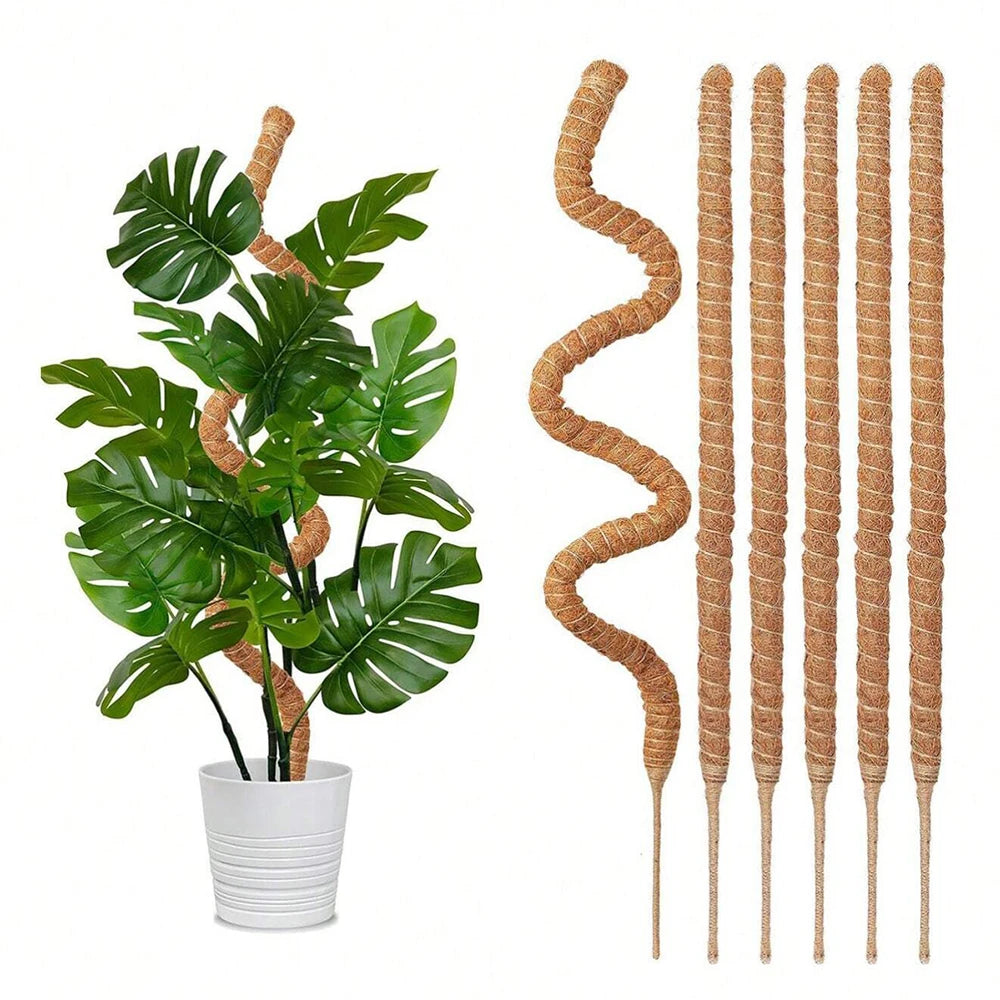 Moss Pole for Plants – Natural Coir Fiber Support Stake for Monstera, Pothos & Climbing Indoor Plants