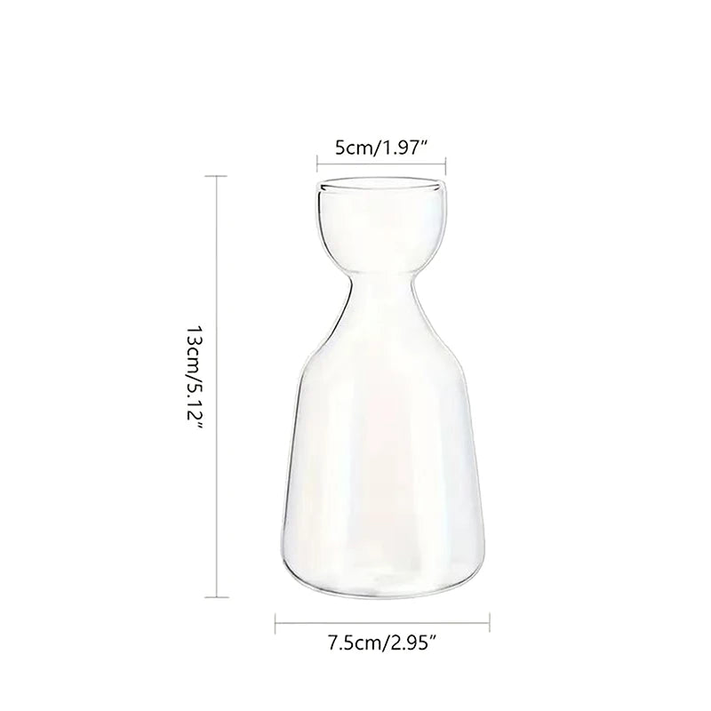 Avocado Seed Starter Glass Vase — Transparent Hydroponic Planter