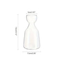 Avocado Seed Starter Glass Vase — Transparent Hydroponic Planter