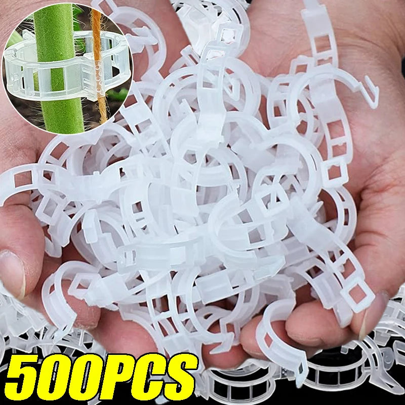 Reusable PP Plant Support Clips – Transparent Vine Fixing Buckle for Tomatoes, Grapes & Vegetables (50–500 pcs)