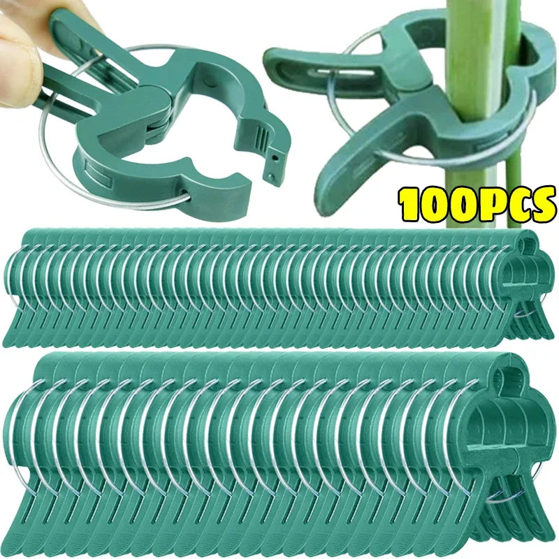 Reusable Plant Fixed Clips – Greenhouse Bracket for Stems, Vines, Tomatoes & Flowers
