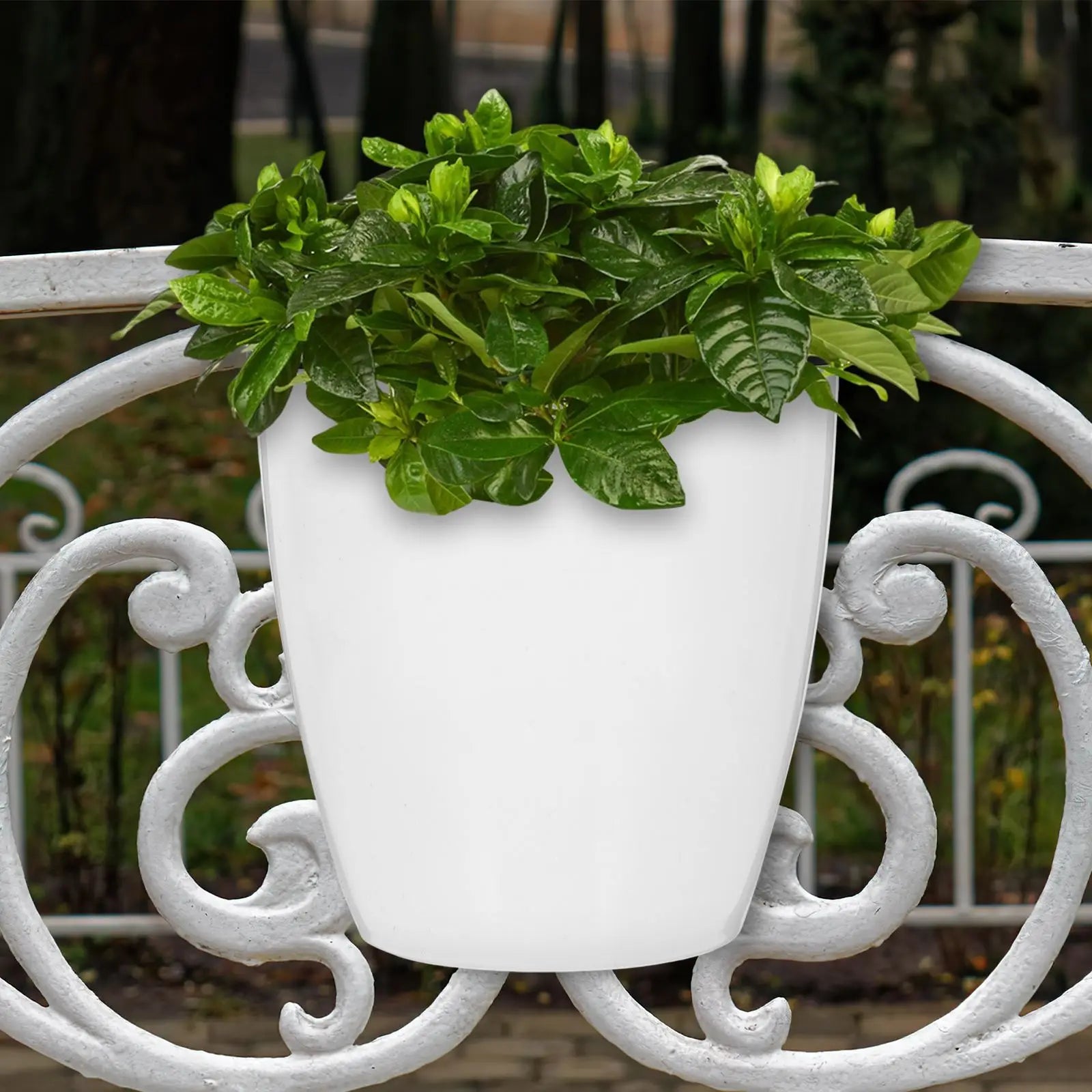 7Pcs Wall Hanging Flower Pot Self Watering Planters Round Plant Container For Garden Plants Succulents Vegetables Indoor Herbs