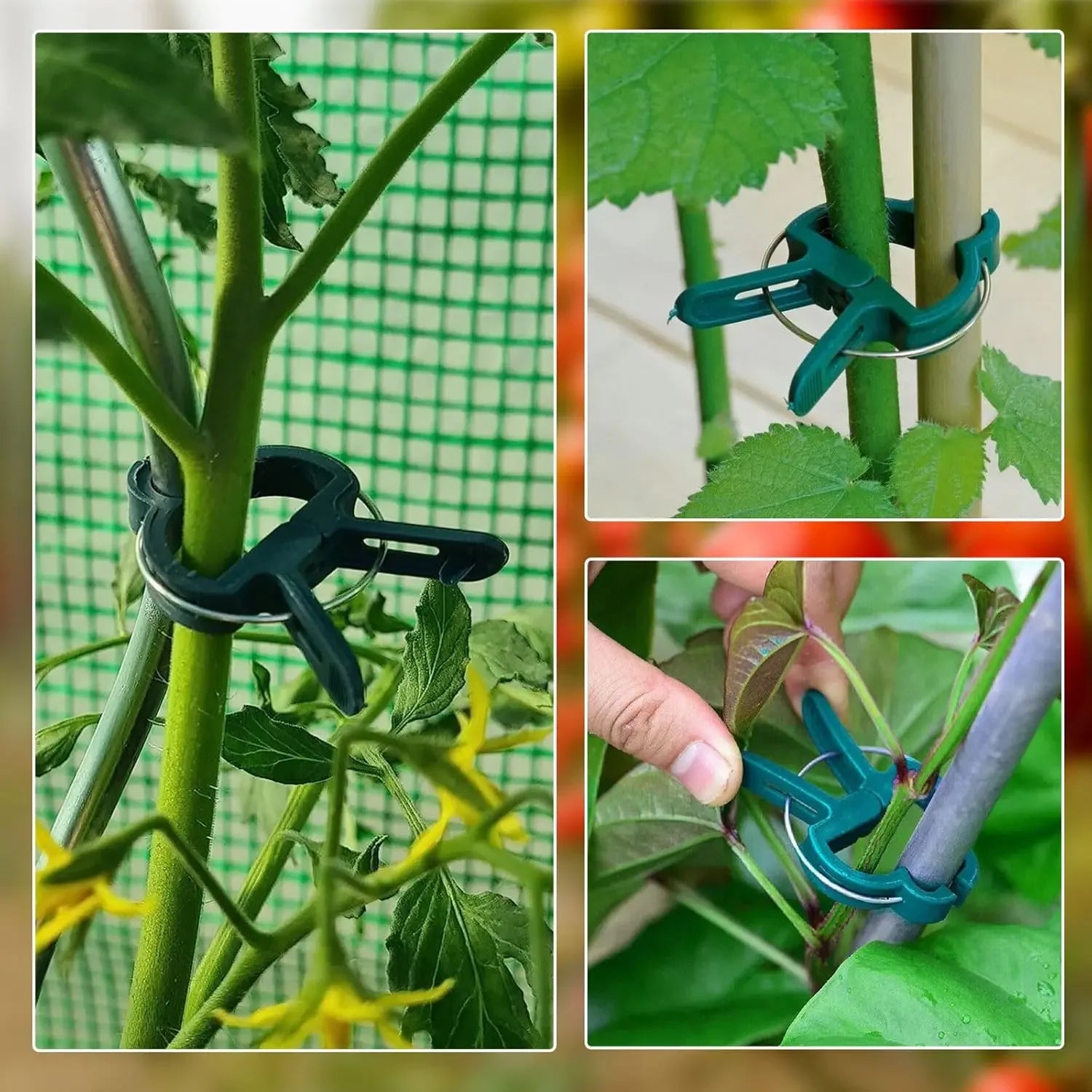 Reusable Plant Fixed Clips – Greenhouse Bracket for Stems, Vines, Tomatoes & Flowers
