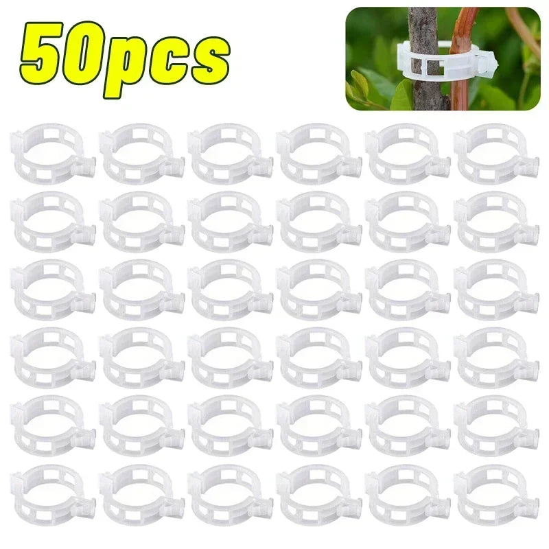 Reusable PP Plant Support Clips – Transparent Vine Fixing Buckle for Tomatoes, Grapes & Vegetables (50–500 pcs)