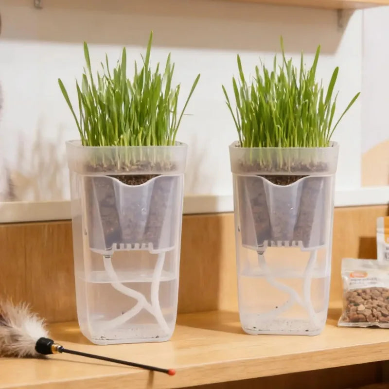 Transparent Self-Watering Plant Pot – PP Seedling & Propagation Container with Drainage (1/2/5 Pack)