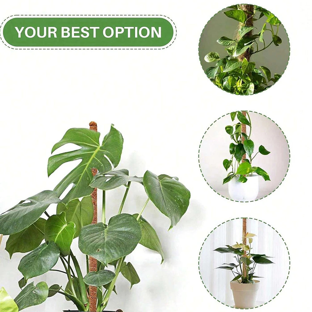 Moss Pole for Plants – Natural Coir Fiber Support Stake for Monstera, Pothos & Climbing Indoor Plants