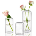 Simple Modern Transparent Glass Flower Vase — Hydroponic & Decorative