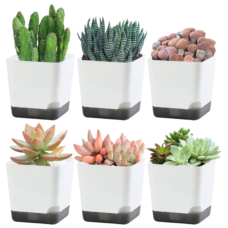 Self-Watering Plant Pots with Clear Saucer & Drainage Hole – Indoor & Outdoor Set of 5