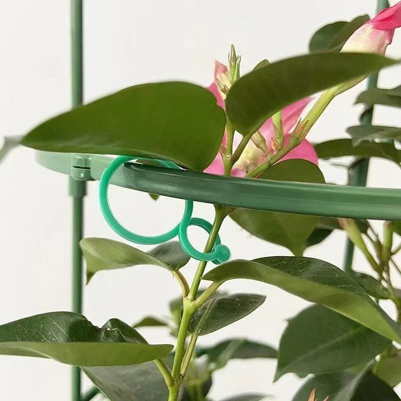 Garden Vine Strapping Clips – Figure-8 PE Buckle Ring for Tomatoes, Grapevines & Climbing Plants (50/100/500 pcs)