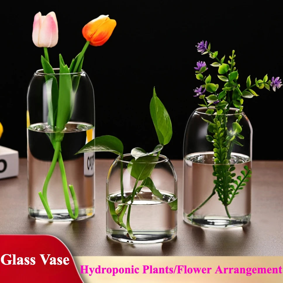 Simple Modern Transparent Glass Flower Vase — Hydroponic & Decorative