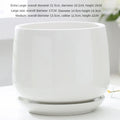 Large Nordic Ceramic Flowerpot with Tray – Glazed Balcony & Indoor Planter