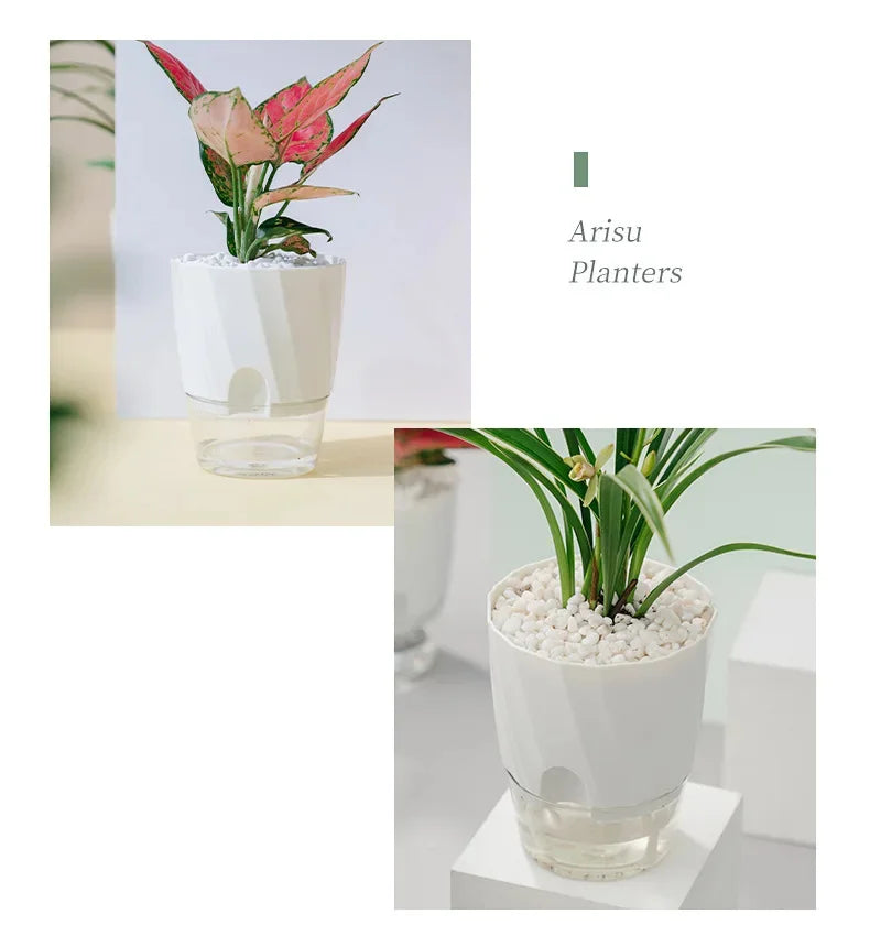 Clear Self-Watering Planter – Automatic Lazy Flower Pot, Fully Transparent (12/15/20 cm)