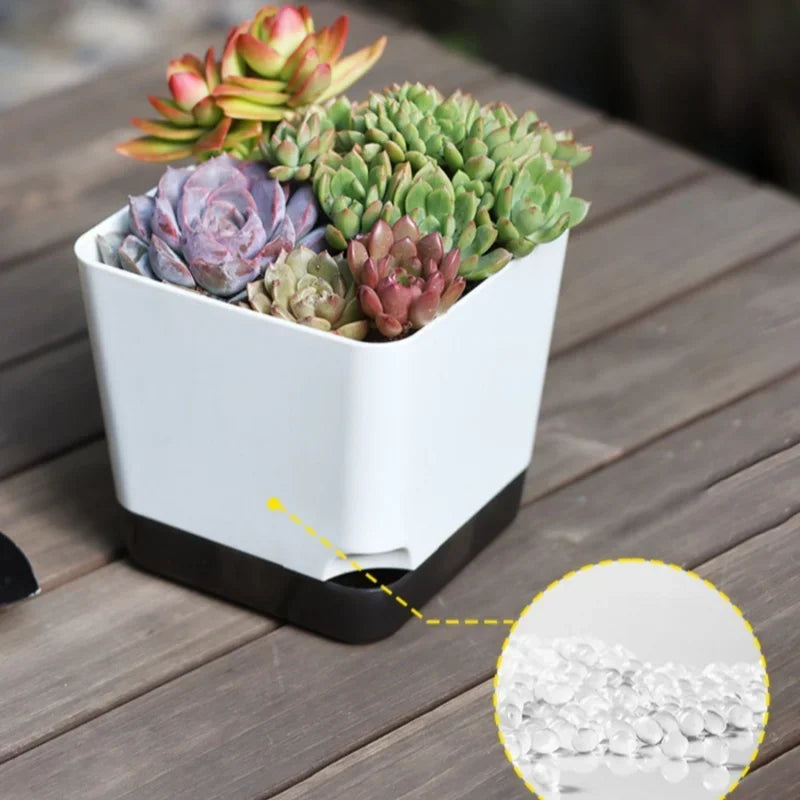Self-Watering Plant Pots with Clear Saucer & Drainage Hole – Indoor & Outdoor Set of 5
