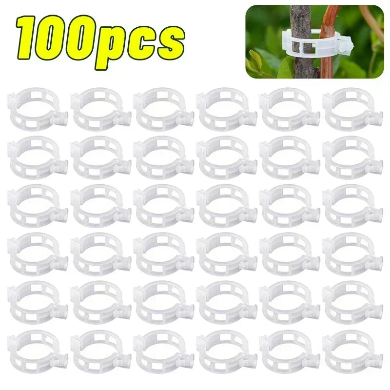 Reusable PP Plant Support Clips – Transparent Vine Fixing Buckle for Tomatoes, Grapes & Vegetables (50–500 pcs)
