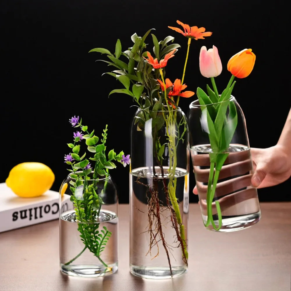 Simple Modern Transparent Glass Flower Vase — Hydroponic & Decorative