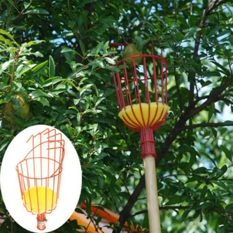 Telescopic Fruit Picker Basket – Stainless Steel Catcher for Apples, Oranges & High-Altitude Picking