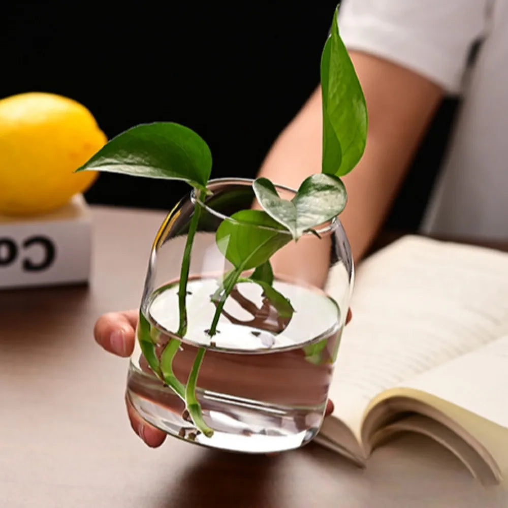 Simple Modern Transparent Glass Flower Vase — Hydroponic & Decorative