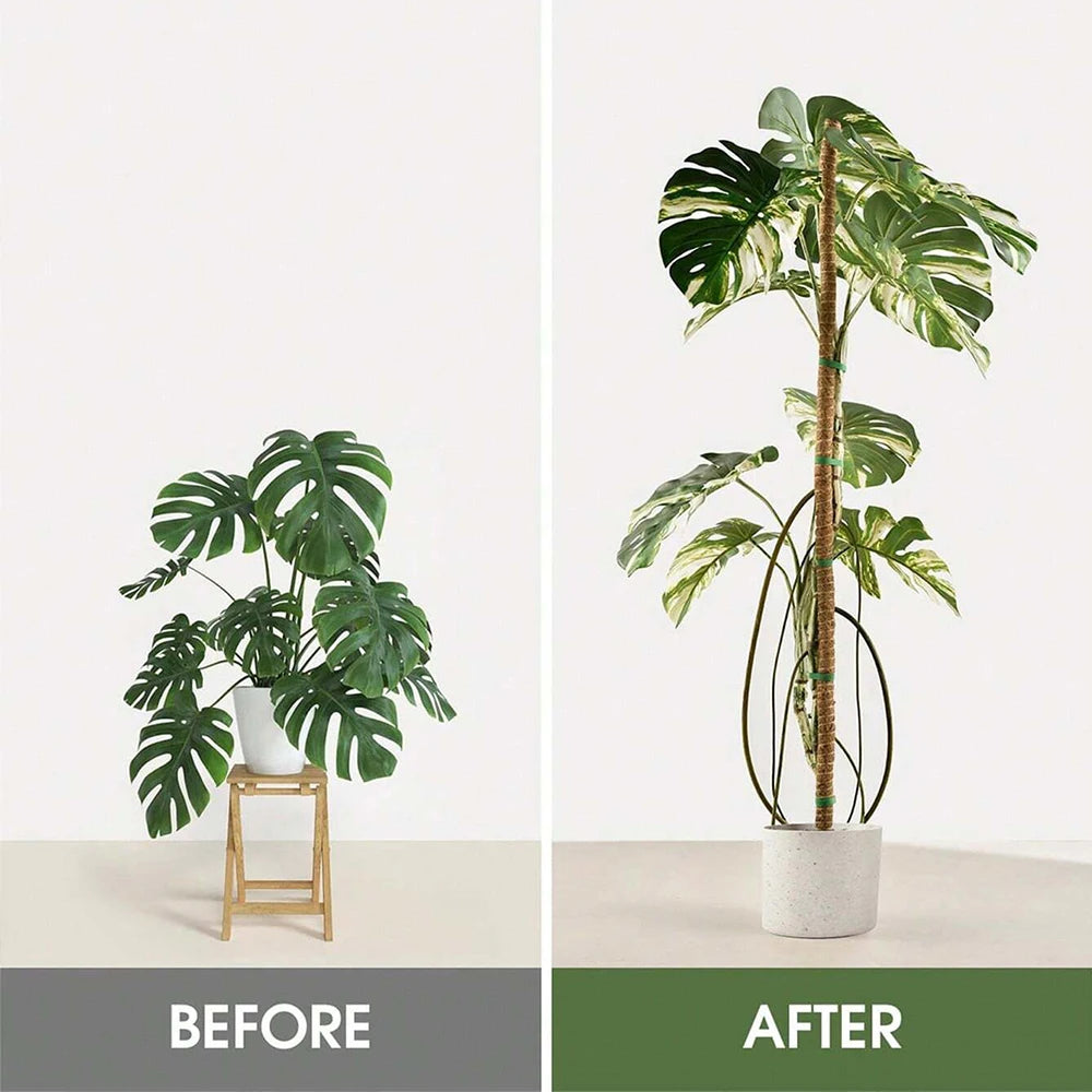 Moss Pole for Plants – Natural Coir Fiber Support Stake for Monstera, Pothos & Climbing Indoor Plants