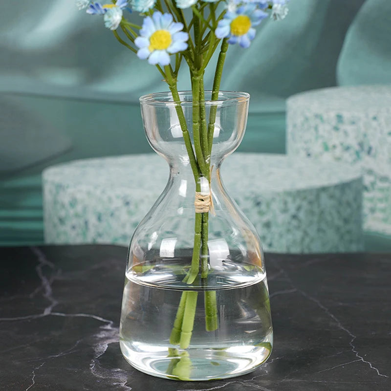 Avocado Seed Starter Glass Vase — Transparent Hydroponic Planter
