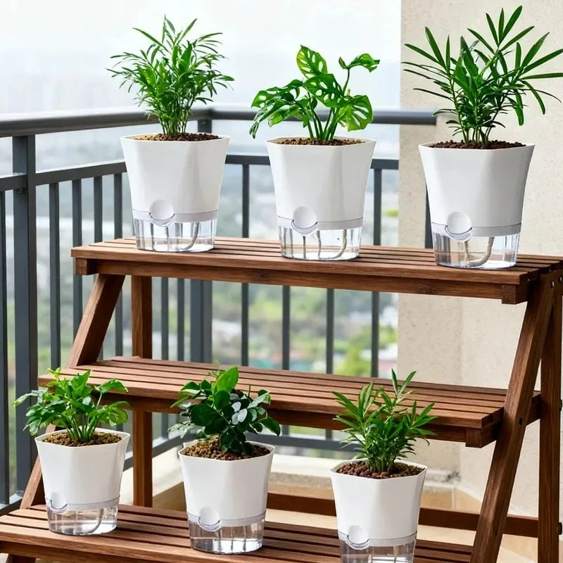 Transparent Self-Watering Hydroponic Flowerpot – Lazy Plastic Planter (1/3/5 Pack)