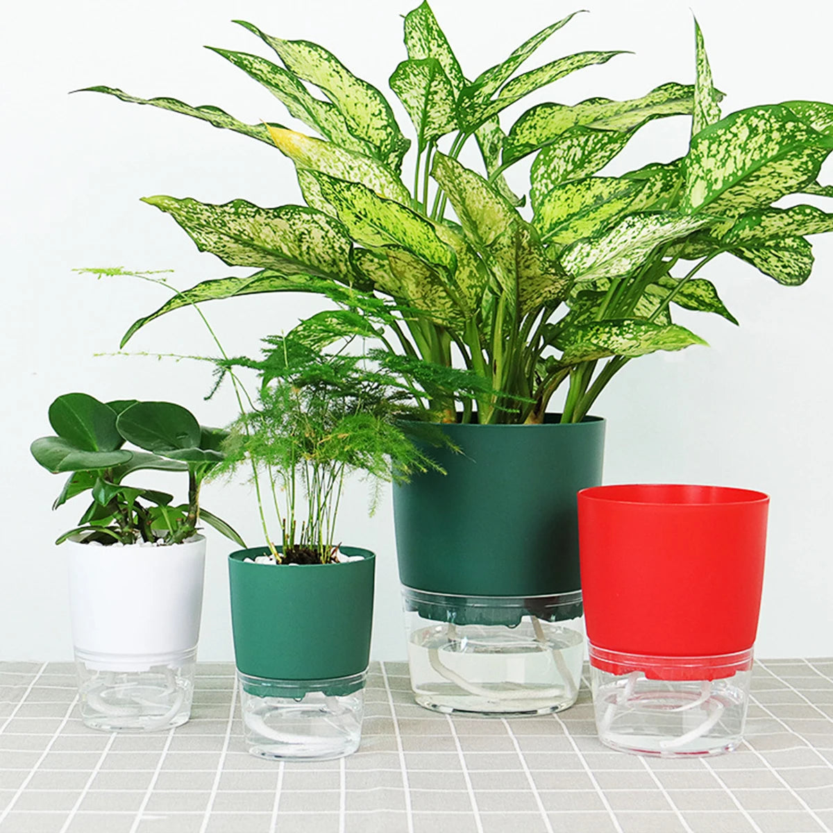 Self-Watering Hydroponic Plant Pot – Cotton Rope Water Absorption Planter (S/M/L)