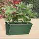 Hanging Planters