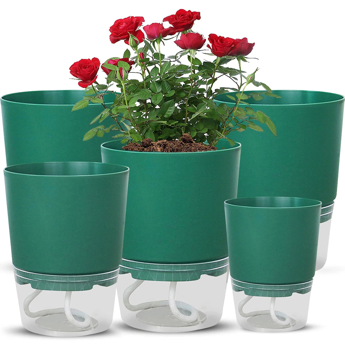Self-Watering Hydroponic Plant Pot – Cotton Rope Water Absorption Planter (S/M/L)