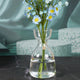 Glass Vases