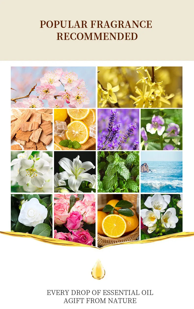 12-Scent Water-Soluble Aromatherapy Essential Oil Set — Humidifier & Reed Diffuser Refill