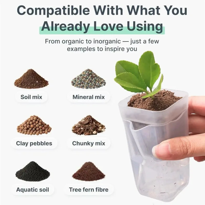Transparent Self-Watering Plant Pot – PP Seedling & Propagation Container with Drainage (1/2/5 Pack)