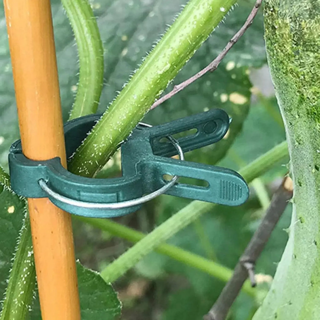 Reusable Plant Fixed Clips – Greenhouse Bracket for Stems, Vines, Tomatoes & Flowers