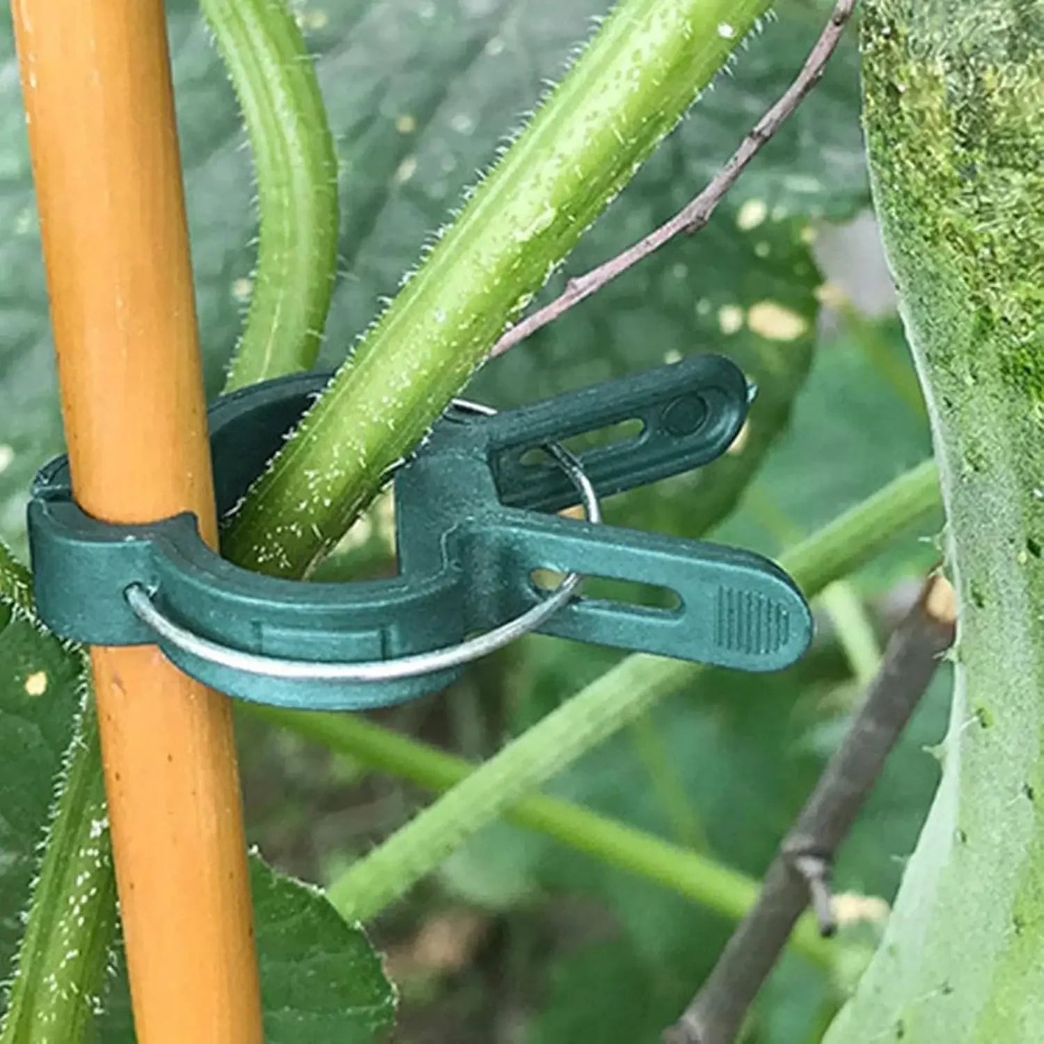 Reusable Plant Fixed Clips – Greenhouse Bracket for Stems, Vines, Tomatoes & Flowers