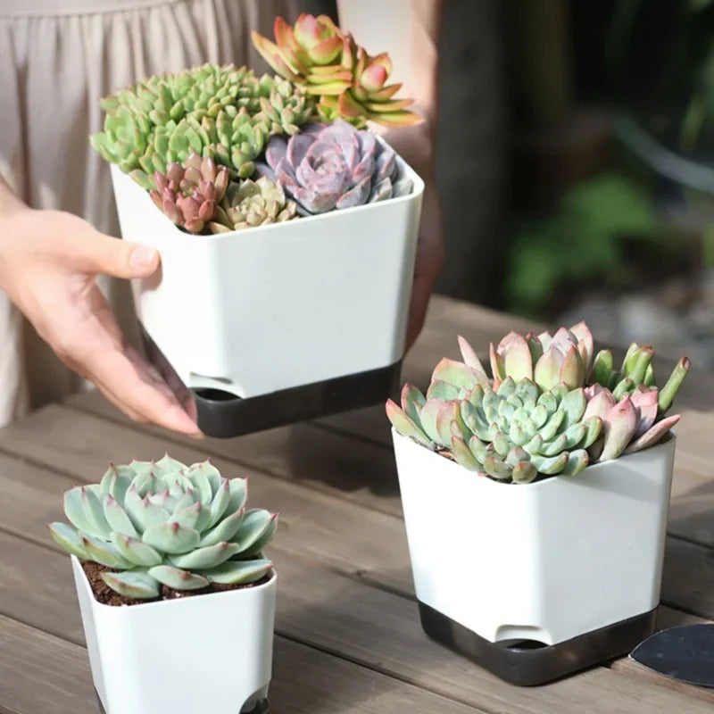 Self-Watering Plant Pots with Clear Saucer & Drainage Hole – Indoor & Outdoor Set of 5