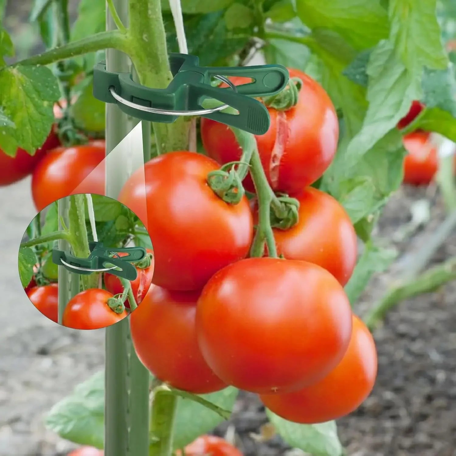 Reusable Plant Fixed Clips – Greenhouse Bracket for Stems, Vines, Tomatoes & Flowers