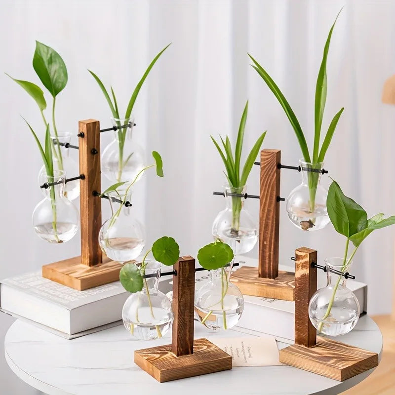 Vintage Bulb Glass Hydroponic Vase with Wooden Stand — Desktop Plant Terrarium