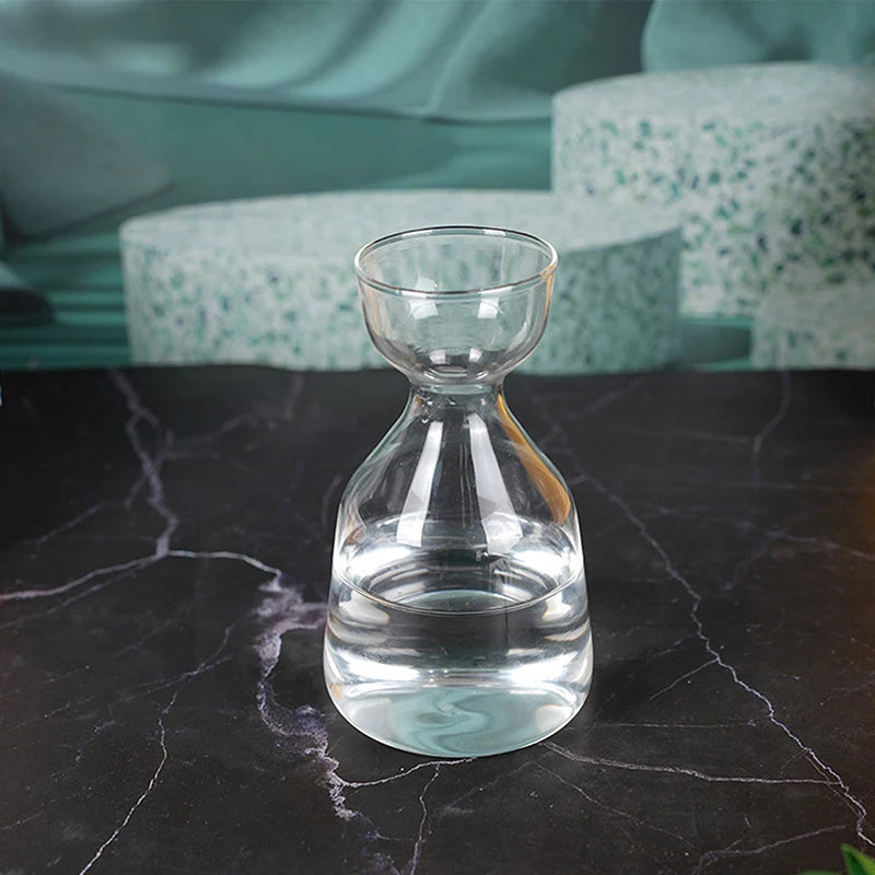Avocado Seed Starter Glass Vase — Transparent Hydroponic Planter