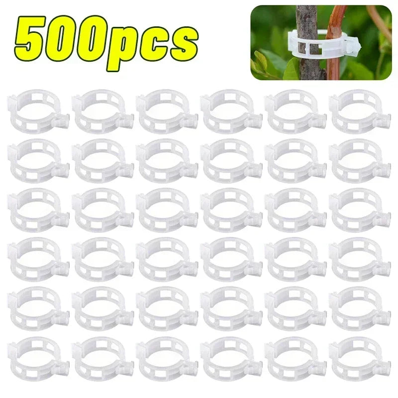 Reusable PP Plant Support Clips – Transparent Vine Fixing Buckle for Tomatoes, Grapes & Vegetables (50–500 pcs)